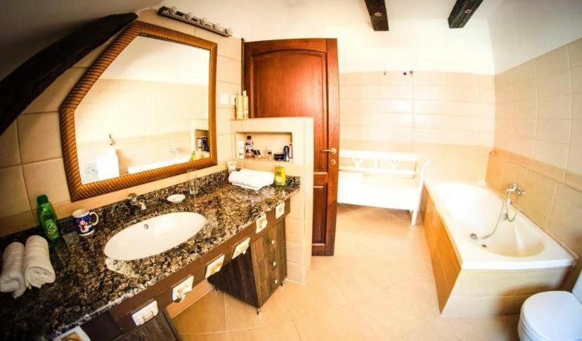 The Attic Apartment Brasov Exterior photo